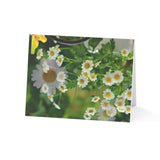 We love our pioneers - Greeting Cards (1 or 10pcs)