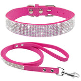 Pet Collar Set